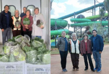 Photo of Parque Acqualinda tem como fornecedor de alimentos hortifrutii a Cooperativa Canteiro Agrário Andradina