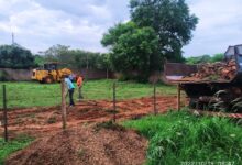 Photo of Horta Comunitária será instalada em Andradina