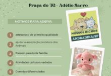 Photo of Feira de Artesanato pró aos animais acontece neste sábado