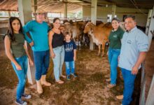 Photo of Agricultura dá assistência para melhoria genética de rebanho leiteiro