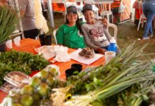 Photo of AGROFAN: Feira da Agricultura familiar valoriza os produtores e anuncia investimentos