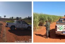 Photo of Policia Militar Ambiental de Castilho promove Operação Huracan